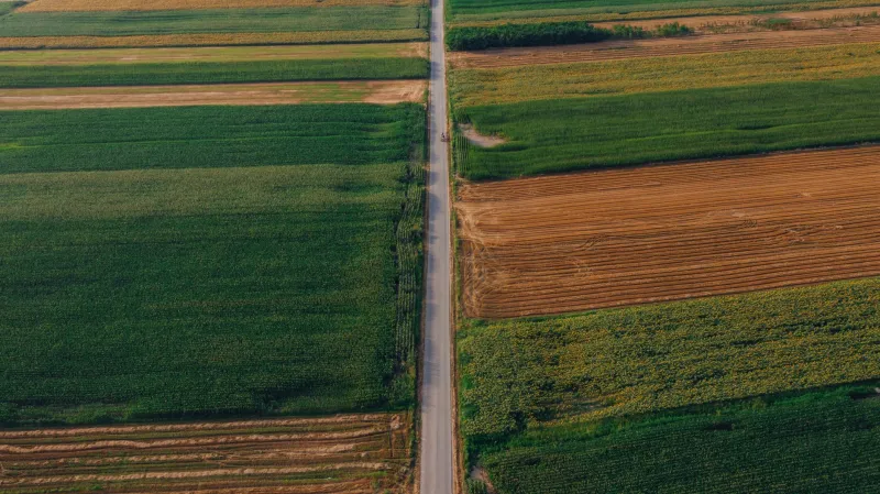 Da Terra ao Dado: Como a Agricultura de Precisão Está Redefinindo o Agronegócio Brasileiro