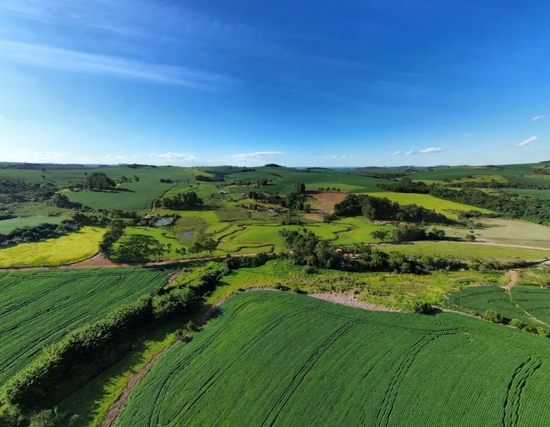 Arrendamento de Terras Agrícolas: Estratégias para Contratos Sólidos, Preços Justos e Máxima Rentabilidade em 2025