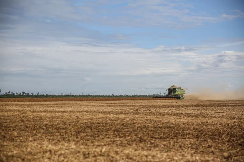 A Revolução Silenciosa dos Bioinsumos: Como Microrganismos e Extratos Naturais Estão Transformando o Agronegócio Brasileiro e Conquistando Mercados Globais