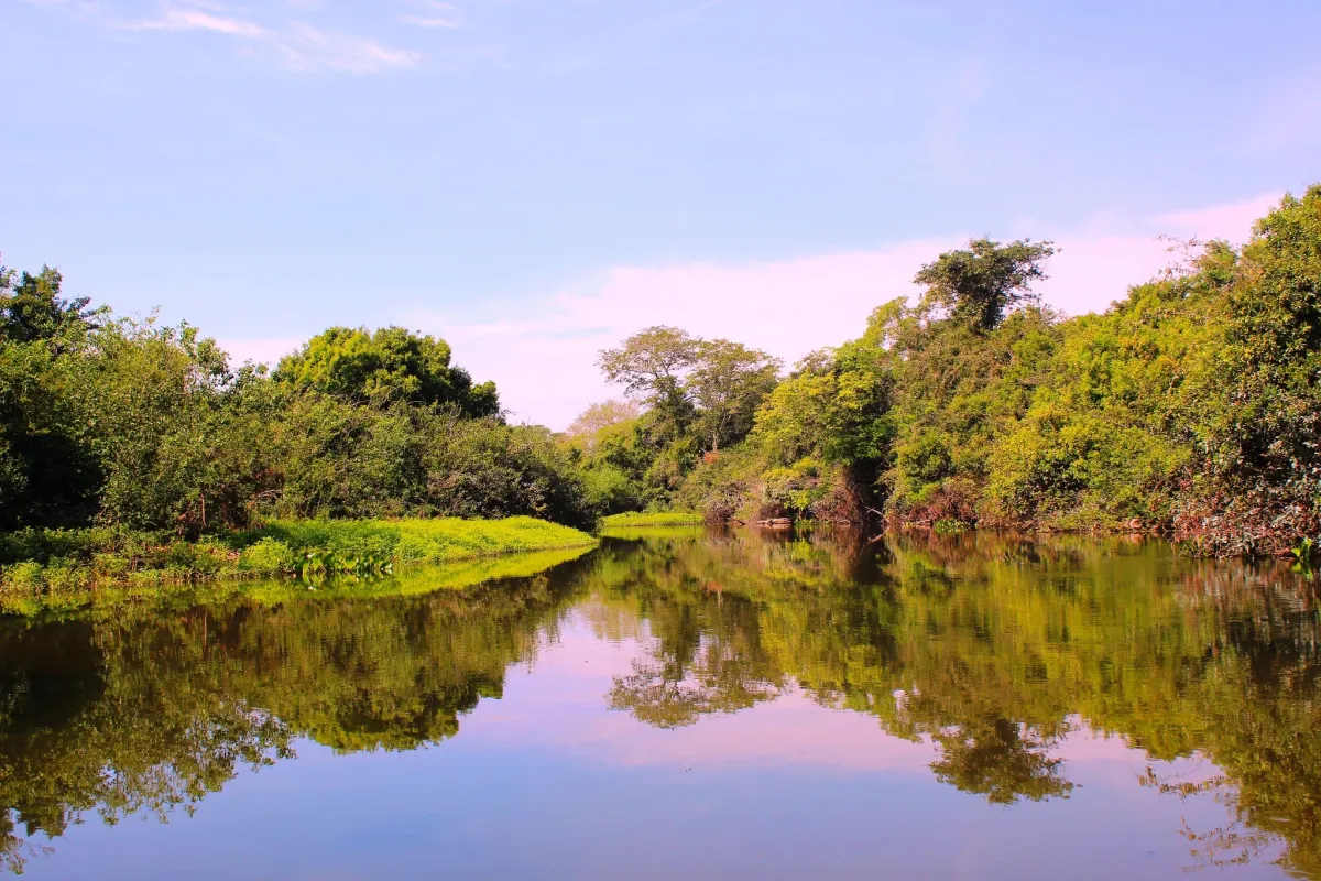 Mato Grosso do Sul