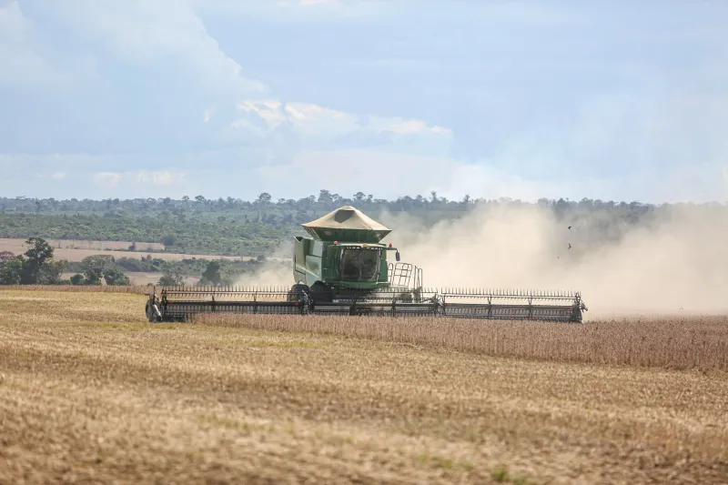 Defensivos Agrícolas: Genéricos ou de Marca? O Guia Definitivo para Reduzir Custos e Manter a Produtividade em 2025