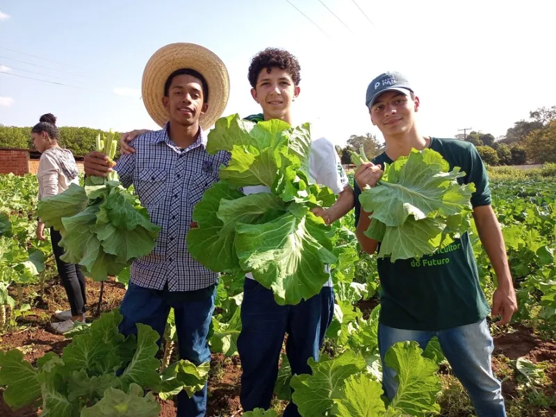 A Fazenda que Fica: Como Transformar a Sucessão Familiar Rural em Vantagem Competitiva no Agronegócio Brasileiro