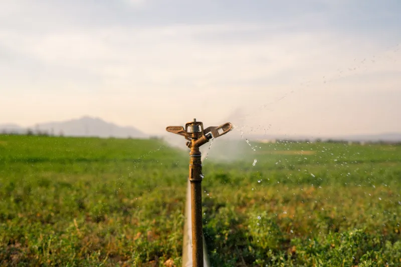 Fertirrigação de Precisão: A Arte de Nutrir e Hidratar a Lavoura ao Mesmo Tempo para Maximizar o Lucro por Hectare