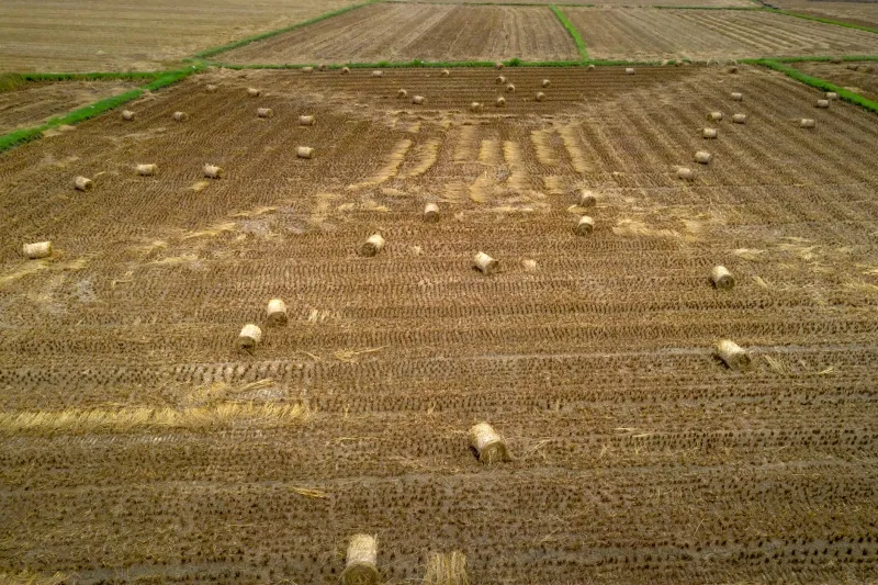 Da Palha ao Lucro: Como Transformar Resíduos Agrícolas em Biomassa Rentável e Energia Renovável na Sua Propriedade
