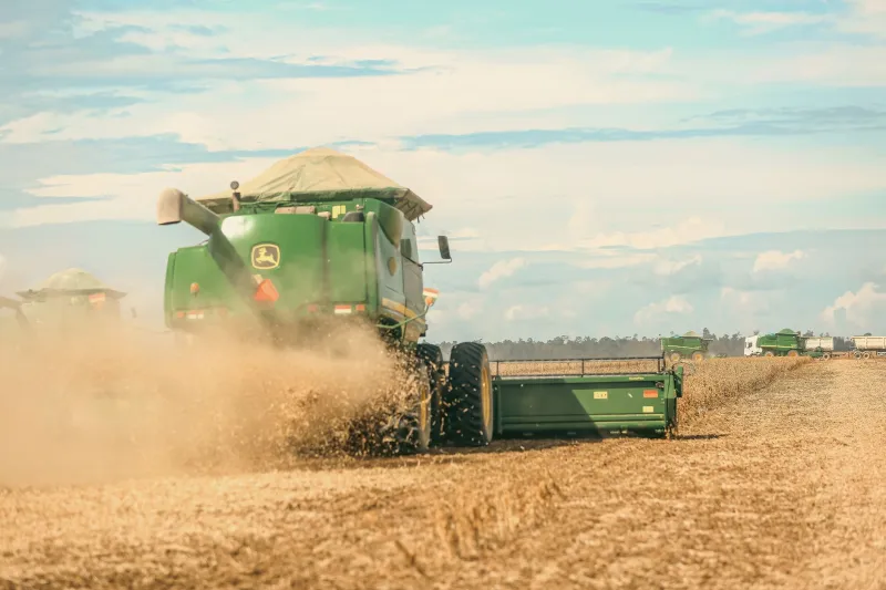 Transgênica ou Convencional: A Conta que Todo Sojicultor Brasileiro Precisa Fazer Antes de Plantar em 2025