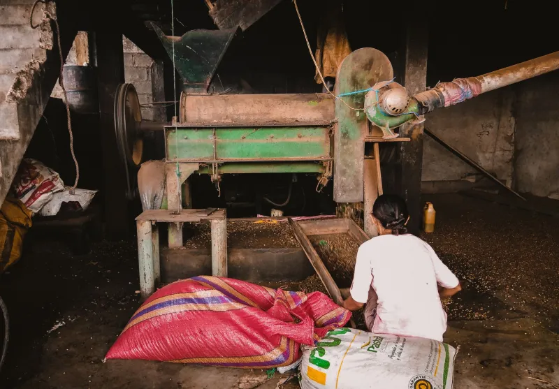 Transformar para Lucrar: O Caminho da Agroindustrialização para Quem Quer Sair do Preço de Commodity